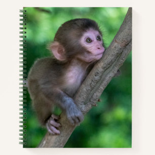 Cutest Baby Animals   Baby Monkey Notebook