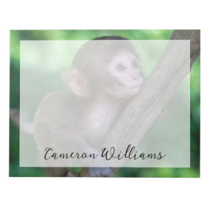Cutest Baby Animals   Baby Monkey Notepad
