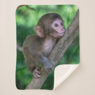Cutest Baby Animals   Baby Monkey Sherpa Blanket