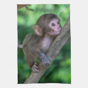 Cutest Baby Animals   Baby Monkey Tea Towel