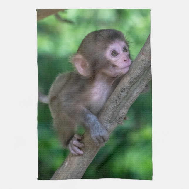 Cutest Baby Animals | Baby Monkey Tea Towel (Vertical)