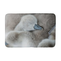 Cutest Baby Animals | Baby Mute Swan