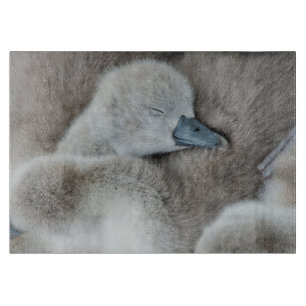 Cutest Baby Animals Baby Mute Swan Cutting Board