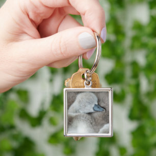Cutest Baby Animals Baby Mute Swan Key Ring