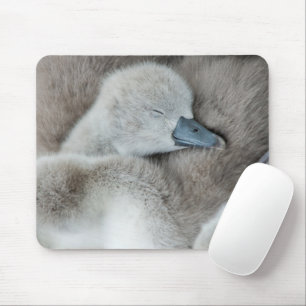 Cutest Baby Animals Baby Mute Swan Mouse Pad