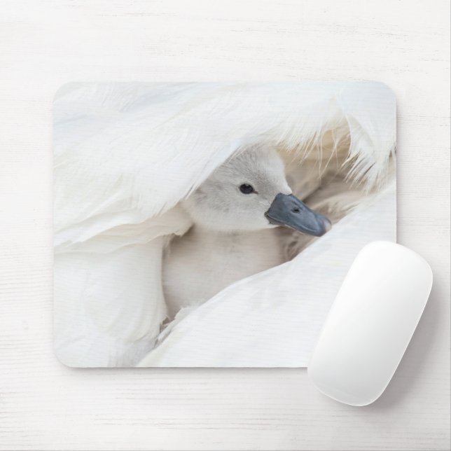 Cutest Baby Animals | Baby Mute Swan Mouse Pad (With Mouse)