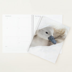 Cutest Baby Animals Baby Mute Swan Planner