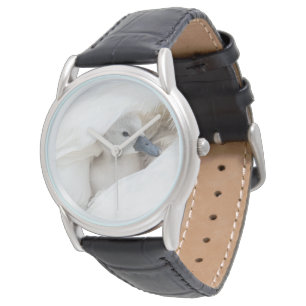 Cutest Baby Animals   Baby Mute Swan Watch