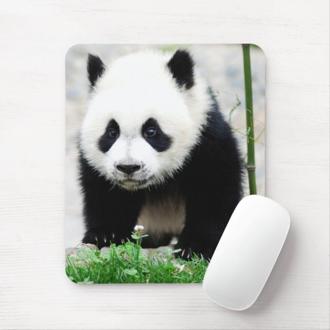 Cutest Baby Animals | Baby Panda Bear Mouse Pad (With Mouse)