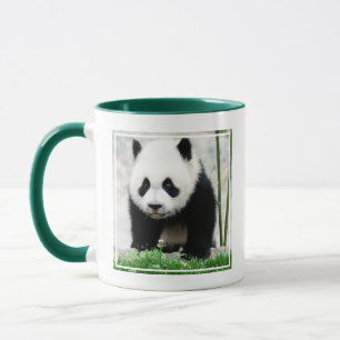 Cutest Baby Animals Baby Panda Bear Mug