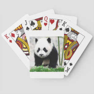 Cutest Baby Animals Baby Panda Bear Playing Cards