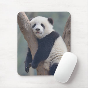 Cutest Baby Animals Baby Panda Bear Sleeping Mouse Pad