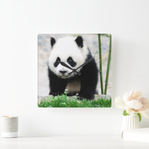 Cutest Baby Animals   Baby Panda Bear Square Wall Clock