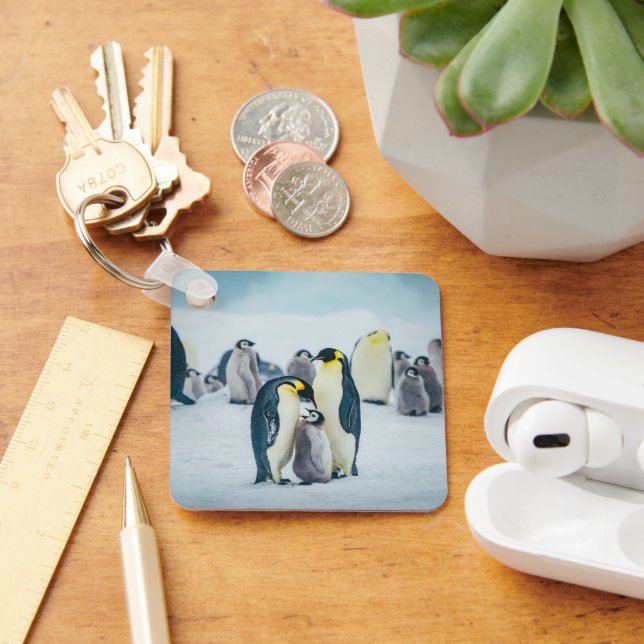 Cutest Baby Animals | Baby Penguin Feeding Key Ring (Desk)