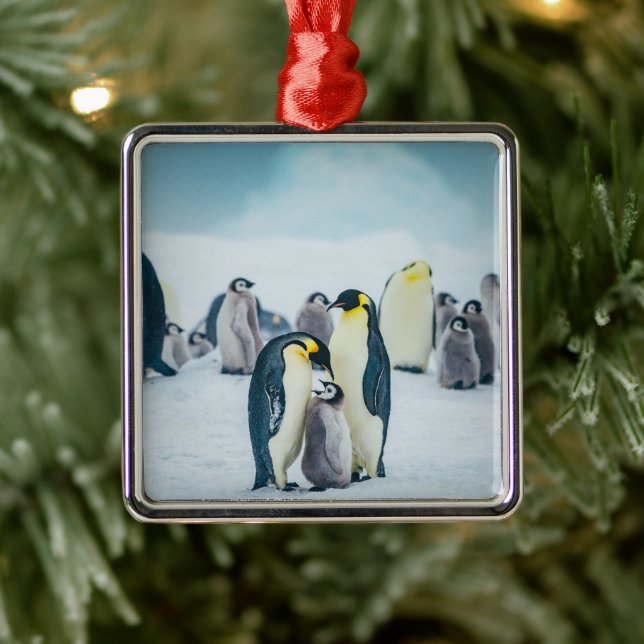 Cutest Baby Animals | Baby Penguin Feeding Metal Tree Decoration (Tree)