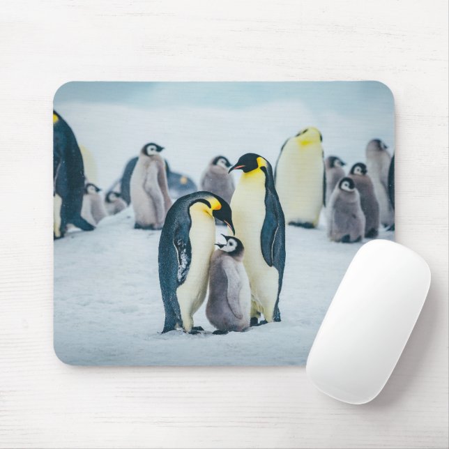 Cutest Baby Animals | Baby Penguin Feeding Mouse Pad (With Mouse)