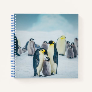 Cutest Baby Animals   Baby Penguin Feeding Notebook