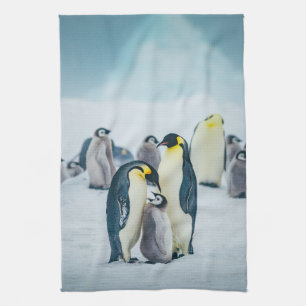 Cutest Baby Animals Baby Penguin Feeding Tea Towel