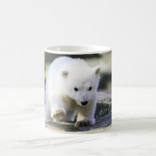 Cutest Baby Animals Baby Polar Bear Cub Coffee Mug