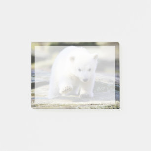 Cutest Baby Animals Baby Polar Bear Cub Post-it Notes