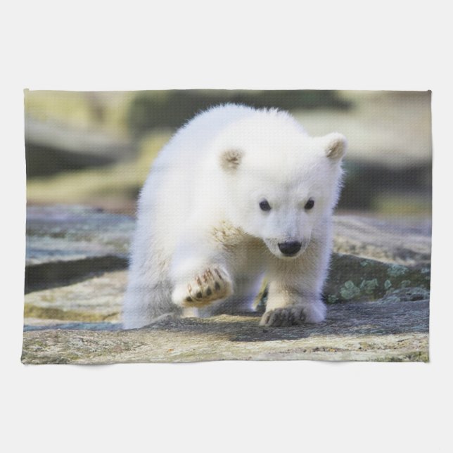 Cutest Baby Animals | Baby Polar Bear Cub Tea Towel (Horizontal)