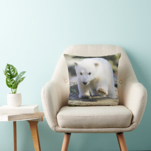Cutest Baby Animals   Baby Polar Bear Cushion