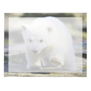 Cutest Baby Animals Baby Polar Bear Notepad