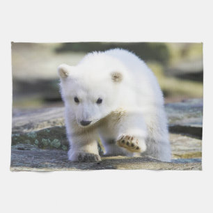 Cutest Baby Animals Baby Polar Bear Tea Towel
