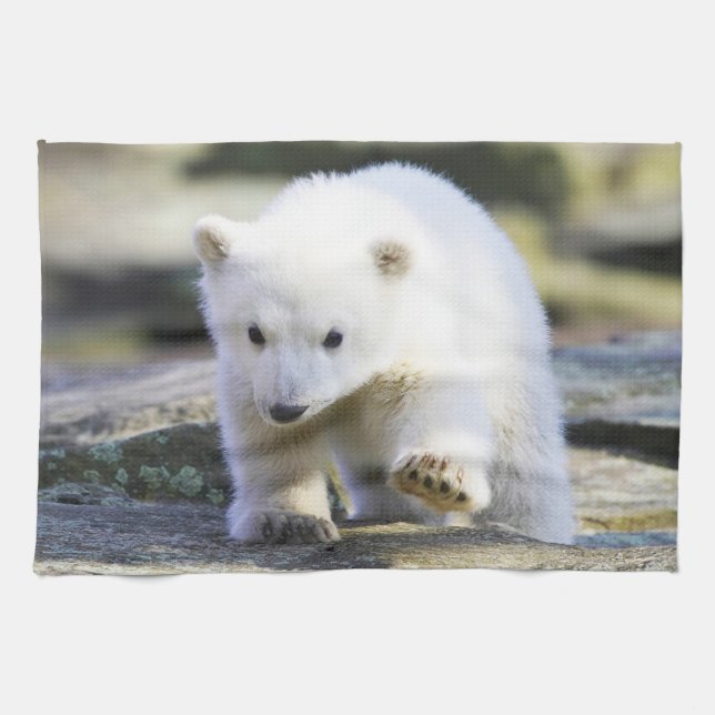 Cutest Baby Animals | Baby Polar Bear Tea Towel (Horizontal)