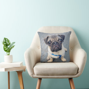 Cutest Baby Animals Baby Pug Cushion