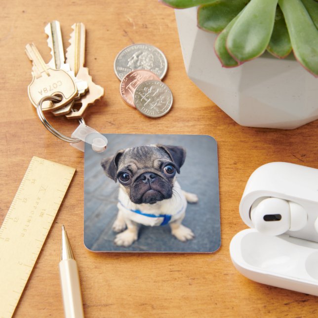 Cutest Baby Animals | Baby Pug Key Ring (Desk)