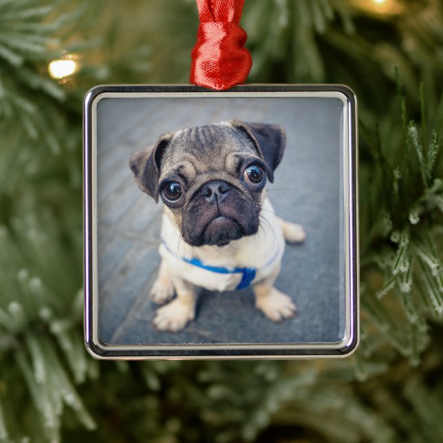 Cutest Baby Animals | Baby Pug Metal Tree Decoration (Tree)
