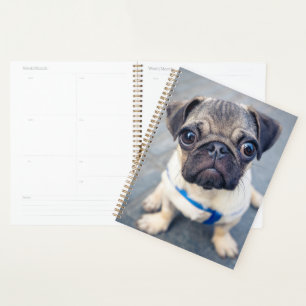 Cutest Baby Animals   Baby Pug Planner
