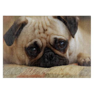 Cutest Baby Animals Baby Pug Puppy Cutting Board