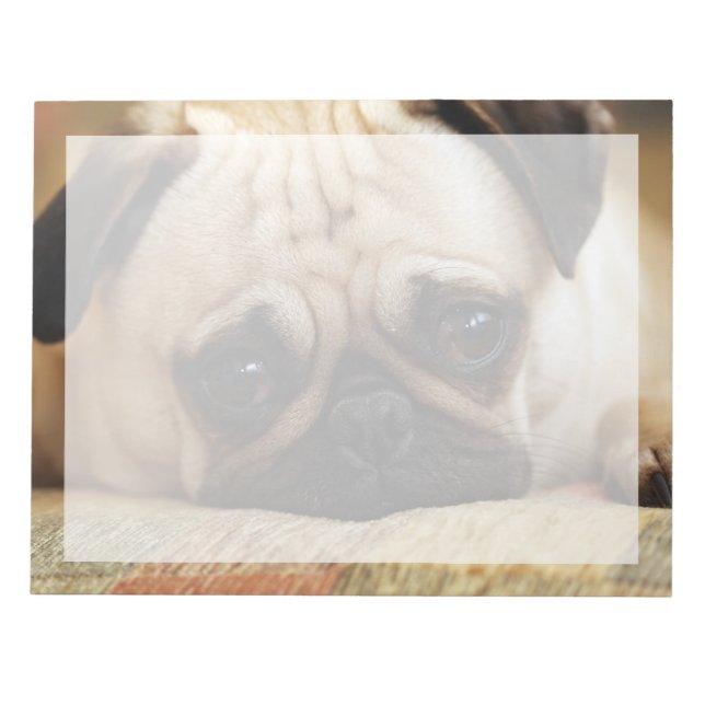 Cutest Baby Animals | Baby Pug Puppy Notepad (Front)