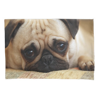 Cutest Baby Animals | Baby Pug Puppy Pillowcase