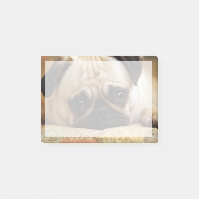Cutest Baby Animals | Baby Pug Puppy Post-it Notes (Front)