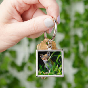 Cutest Baby Animals   Baby Red Fox Key Ring
