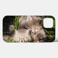 Cutest Baby Animals | Baby Red Fox Kits Sleeping