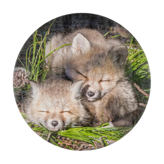 Cutest Baby Animals | Baby Red Fox Kits Sleeping Cutting Board (Front)