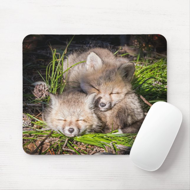 Cutest Baby Animals | Baby Red Fox Kits Sleeping Mouse Pad (With Mouse)
