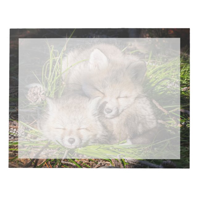 Cutest Baby Animals | Baby Red Fox Kits Sleeping Notepad (Front)
