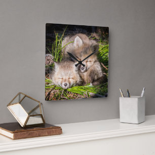 Cutest Baby Animals Baby Red Fox Kits Sleeping Square Wall Clock