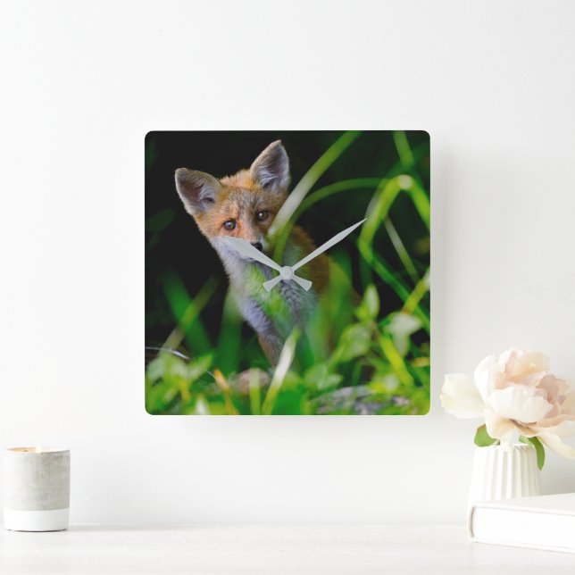 Cutest Baby Animals | Baby Red Fox Square Wall Clock (Home)