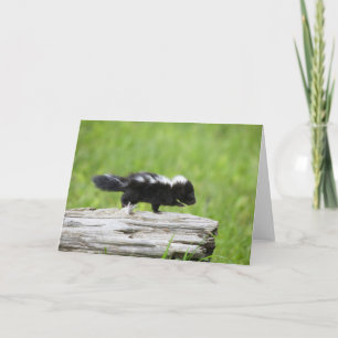 Cutest Baby Animals Baby Skunk Card