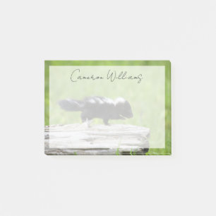 Cutest Baby Animals   Baby Skunk Post-it Notes
