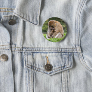 Cutest Baby Animals Barbary Macaque Family 6 Cm Round Badge