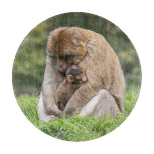 Cutest Baby Animals Barbary Macaque Family Cutting Board