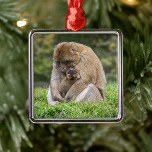 Cutest Baby Animals   Barbary Macaque Family Metal Tree Decoration