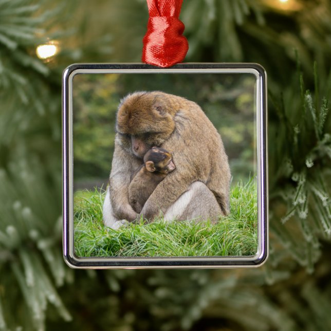 Cutest Baby Animals | Barbary Macaque Family Metal Tree Decoration (Tree)